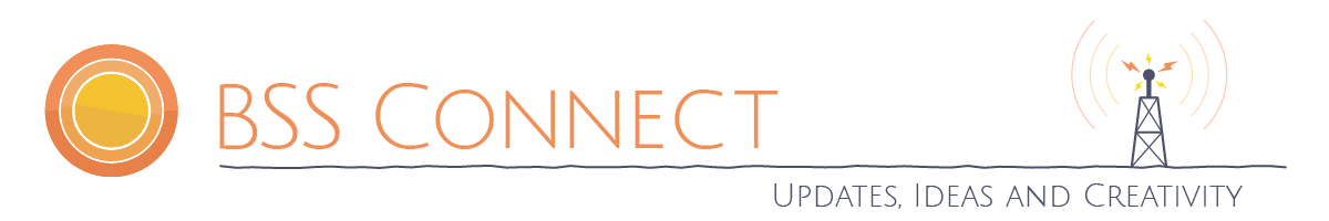 BSS Connect