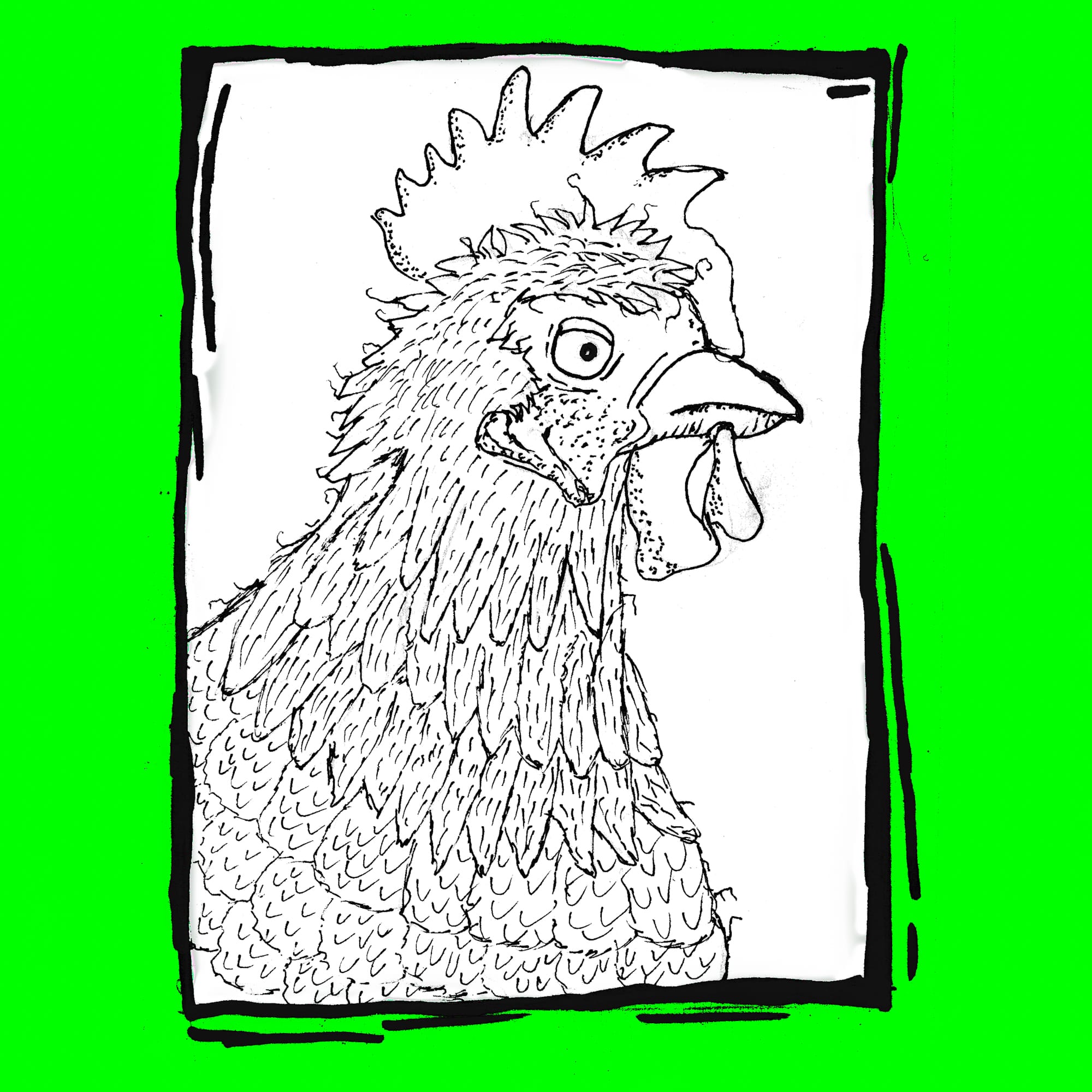 Chicken